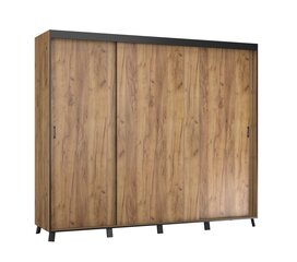 Riidekapp ADRK Furniture Bergamo, 250 cm, pruun hind ja info | Kapid | hansapost.ee