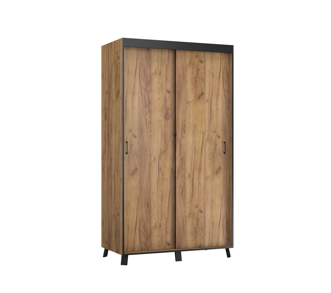 Riidekapp ADRK Furniture Bergamo, 200 cm, pruun hind ja info | Kapid | hansapost.ee