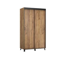 Шкаф ADRK Furniture Bergamo, 120 см, коричневый цена и информация | Шкафы | hansapost.ee
