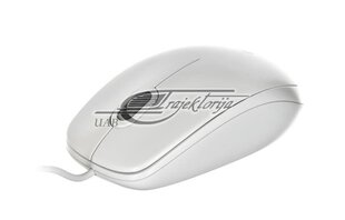 Logitech B100 910-003360, белый цена и информация | Компьютерные мыши | hansapost.ee