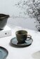 Like by Villeroy & Boch Crafted Breeze espressotass, 100 ml цена и информация | Klaasid, kruusid ja kannud | hansapost.ee