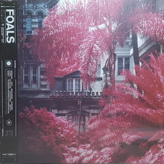 Vinüülplaat (LP) Foals "Everything Not Saved Will Be Lost" hind ja info | Vinüülplaadid, CD, DVD | hansapost.ee