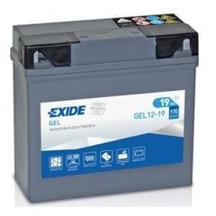 Аккумулятор Exide Gel-12-19 80019, 19 Aч 170 A DIN 12V цена и информация | Аккумуляторы | hansapost.ee