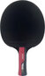 Ping pong reket Butterfly Ruby hind ja info | Pingpongi/lautennise reketid ja reketi kotid | hansapost.ee