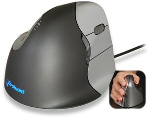 Evoluent 4, серый цена и информация | Компьютерные мыши | hansapost.ee