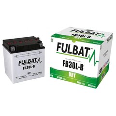 Aku Fulbat YB30L-B, 30 Ah 12V hind ja info | Fulbat Autokaubad | hansapost.ee