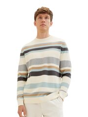 Мужской свитер Tom Tailor, белый цвет цена и информация | Мужские свитера | hansapost.ee