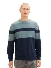 Мужской свитер Tom Tailor, голубой-темно-синий цвет цена и информация | Мужские свитера | hansapost.ee