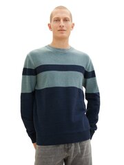 Мужской свитер Tom Tailor, голубой-темно-синий цвет цена и информация | Мужские свитера | hansapost.ee