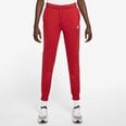 Женские спортивные штаны Nike NSW CLUB FLC MR PANT STD, красные