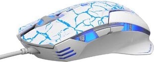 " e-blue мышь mazer pro, 2500dpi, оптическая, 6 кнопок, usb-кабель, бело-голубая, игровая, e-box цена и информация | Компьютерные мыши | hansapost.ee