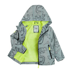 Cool Club куртка для мальчиков, COB2413003 цена и информация | Куртки для мальчиков | hansapost.ee