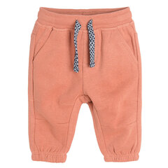 Cool Club спортивные штаны для мальчиков, 2 шт., CCB2501335-00 цена и информация | Штаны для мальчиков | hansapost.ee