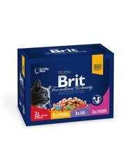 Brit Premium liha ja kalaga, 12 x 100 g hind ja info | Kassikonservid | hansapost.ee