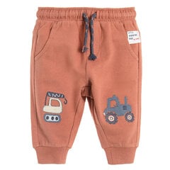Спортивные штаны для мальчиков Cool Club, CCB2501337 цена и информация | Штаны для мальчиков | hansapost.ee