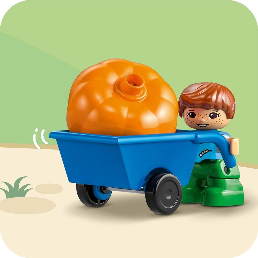 10993 LEGO® DUPLO 3 ühes Puumaja hind ja info | Klotsid ja konstruktorid | hansapost.ee