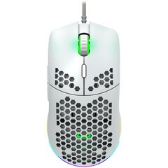 Canyon Puncher GM-11, белый цена и информация | Компьютерные мыши | hansapost.ee