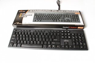 Media-Tech MT122KUUS keyboard USB QWERTY Black цена и информация | Клавиатуры | hansapost.ee