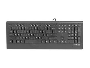 Мультимедийная клавиатура Natec BARRACUDA Slim USB, американская раскладка, черная цена и информация | Клавиатура с игровой мышью 3GO COMBODRILEW2 USB ES | hansapost.ee