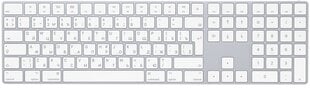 Magic Keyboard with Numeric Keypad RUS - MQ052RS/A hind ja info | Apple Heli- ja videoseadmed, klaviatuurid ja hiired | hansapost.ee