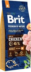 Brit Premium by Nature для собак средних пород с курицей, 8 кг цена и информация | Сухой корм для собак | hansapost.ee