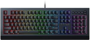 Razer Cynosa V2 hind ja info | Klaviatuurid | hansapost.ee