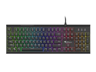 GENESIS THOR 210 RGB Gaming Keyboard, US цена и информация | Клавиатуры | hansapost.ee