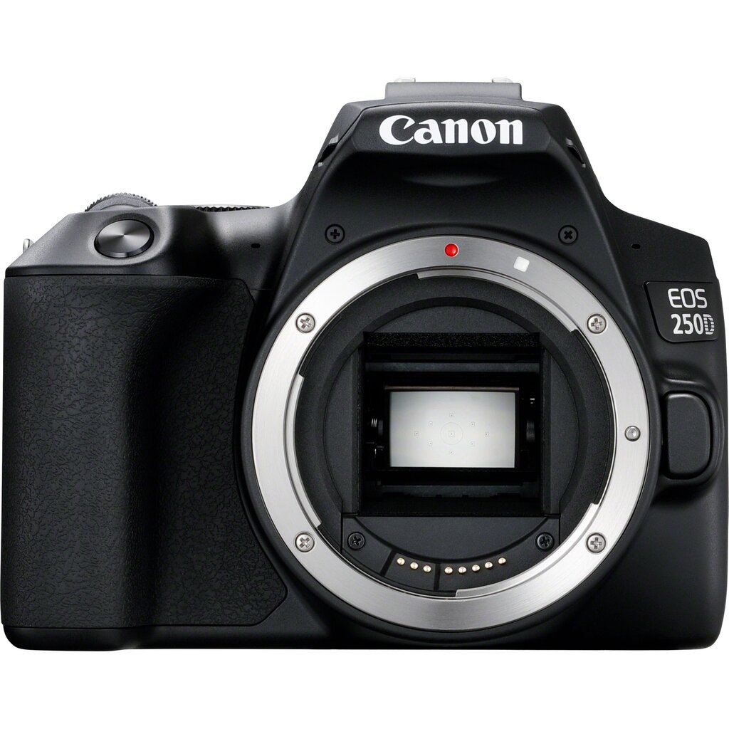 Canon EOS 250D + EF-S 18-55mm IS STM + EF 75-300mm III цена и информация | Fotoaparaadid | hansapost.ee