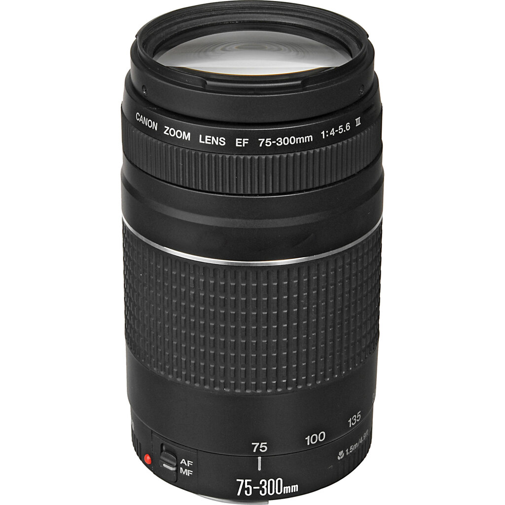 Canon EOS 250D + EF-S 18-55mm IS STM + EF 75-300mm III цена и информация | Fotoaparaadid | hansapost.ee