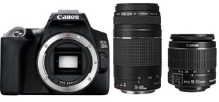 Canon EOS 250D + EF-S 18-55mm IS II + EF 75-300mm III hind ja info | Fotoaparaadid | hansapost.ee