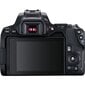 Canon EOS 250D + EF-S 18-55mm IS II + EF 75-300mm III hind ja info | Fotoaparaadid | hansapost.ee