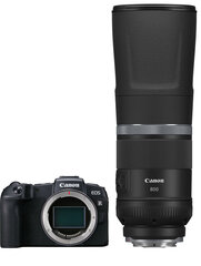 Canon EOS RP + RF 800mm f/11 IS STM цена и информация | Фотоаппараты | hansapost.ee