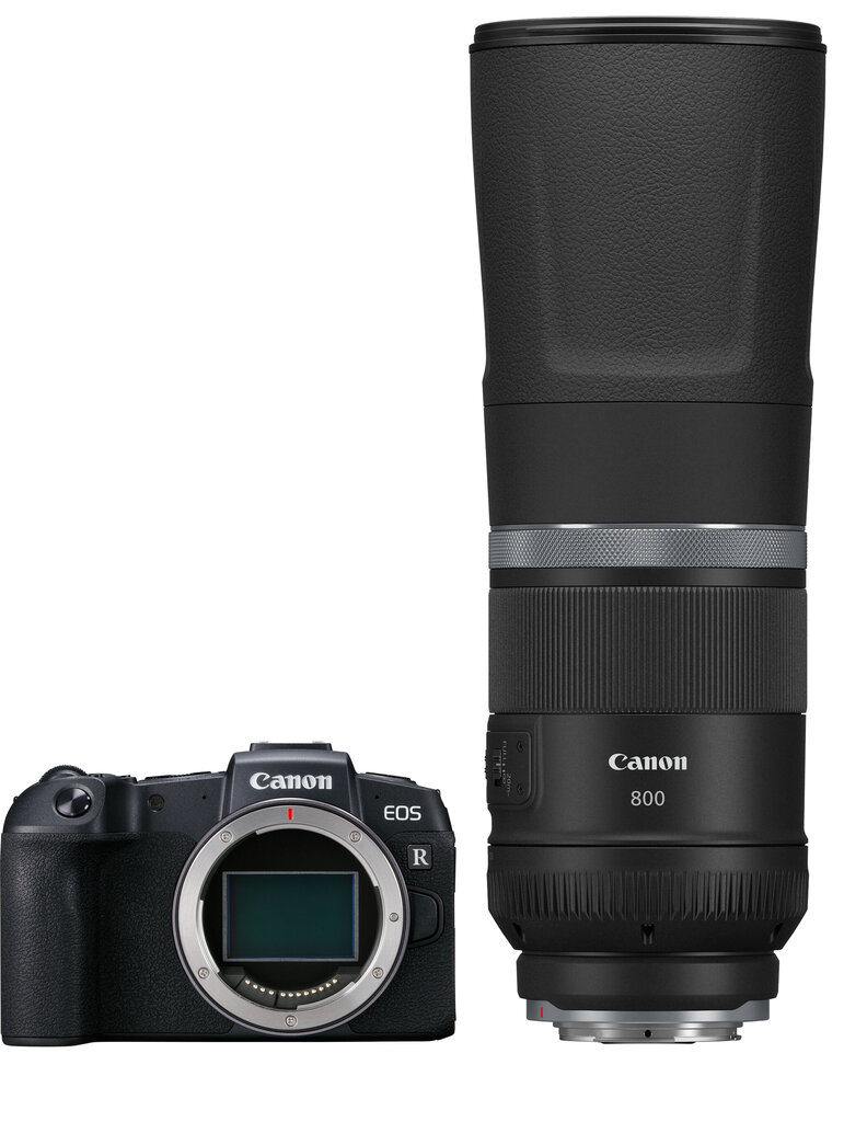 Canon EOS RP + RF 800mm f/11 IS STM цена и информация | Fotoaparaadid | hansapost.ee