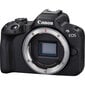 Canon EOS R50 Body (Black) цена и информация | Fotoaparaadid | hansapost.ee