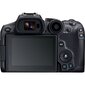 Canon EOS R7 + RF-S 18-45mm F4.5-6.3 IS STM(F/4.5-6.3 IS STM) + Mount Adapter EF-EOS R цена и информация | Fotoaparaadid | hansapost.ee