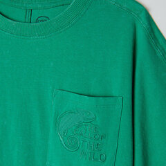 Cool Club футболка для мальчиков, CCB2422378 цена и информация | Рубашки для мальчиков | hansapost.ee