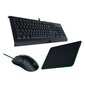 Komplekt Razer Level Up - Cynosa Lite klaviatuur (ENG), juhtmega hiir Razer Viper Mini, hiirematt Razer Gigantus V2, RZ85-02741200-B3M1 hind ja info | Klaviatuurid | hansapost.ee