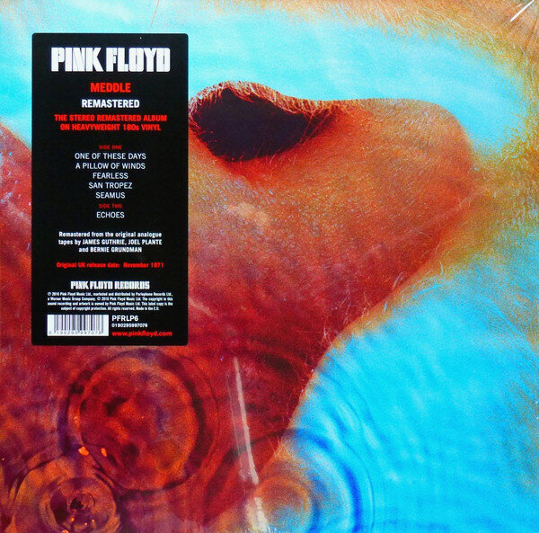 Pink Floyd - Meddle, LP, vinüülplaat, 12" vinyl record цена и информация | Vinüülplaadid, CD, DVD | hansapost.ee