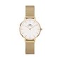 Daniel Wellington Petite 28 Evergold naiste käekell hind ja info | Käekellad naistele | hansapost.ee