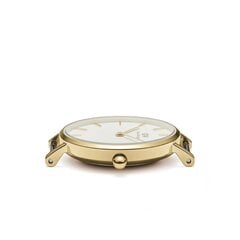 Daniel Wellington Petite 28 Evergold naiste käekell price and information | Käekellad naistele | hansapost.ee