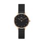 Daniel Wellington Petite 28 Ashfield naiste käekell hind ja info | Käekellad naistele | hansapost.ee