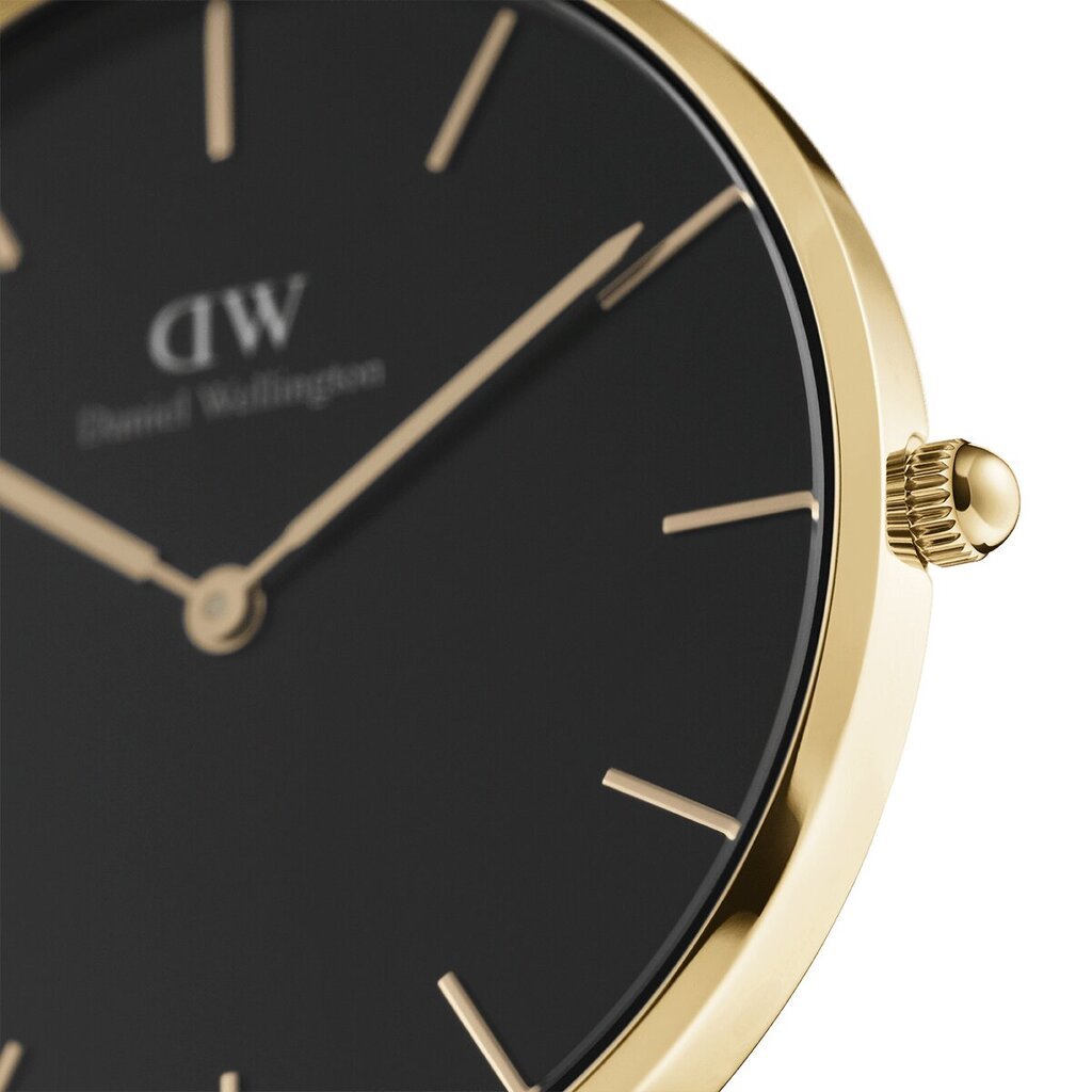 Daniel Wellington Petite 36 Evergold unisex käekell hind ja info | Käekellad naistele | hansapost.ee