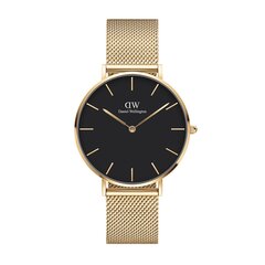 Daniel Wellington Petite 36 Evergold unisex käekell price and information | Watches for women | hansapost.ee