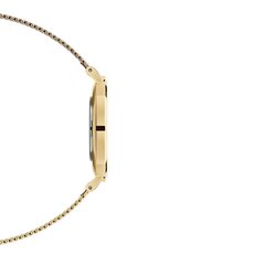 Daniel Wellington Petite 36 Evergold unisex käekell price and information | Watches for women | hansapost.ee