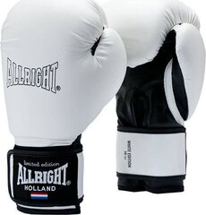 Боксерские перчатки ALLRIGHT 10oz, белые цена и информация | Бокс | hansapost.ee