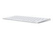 Apple Magic Keyboard - Swedish - MK2A3S/A цена и информация | Klaviatuurid | hansapost.ee