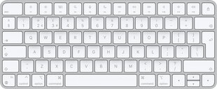 Apple Magic Keyboard - Swedish - MK2A3S/A цена и информация | Клавиатура с игровой мышью 3GO COMBODRILEW2 USB ES | hansapost.ee