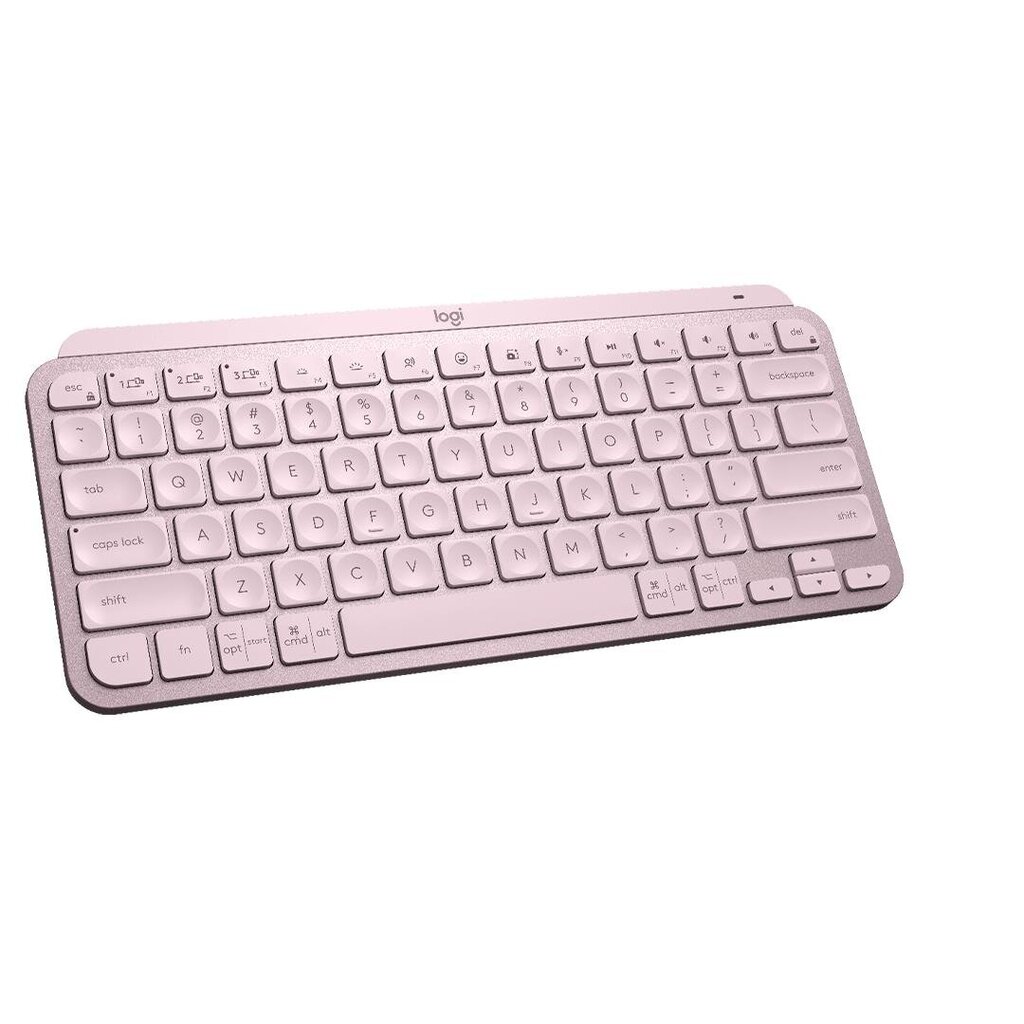 Logitech Keyboard MX Keys Mini SWE hind ja info | Klaviatuurid | hansapost.ee