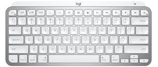 Logitech Keyboard MX Keys Mac SWE hind ja info | Klaviatuurid | hansapost.ee