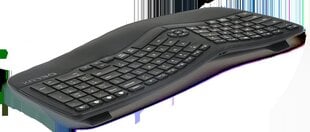 Delux GM902 wireless ergonomic keyboard 2.4G + BT 4.0 цена и информация | Delux Внешние аксессуары для компьютеров | hansapost.ee